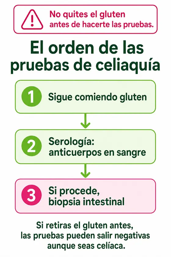 Esquema del orden de las pruebas de celiaquía: no quitar el gluten antes, seguir comiéndolo, serología con anticuerpos en sangre y, si procede, biopsia intestinal; si se retira antes, las pruebas pueden salir negativas
