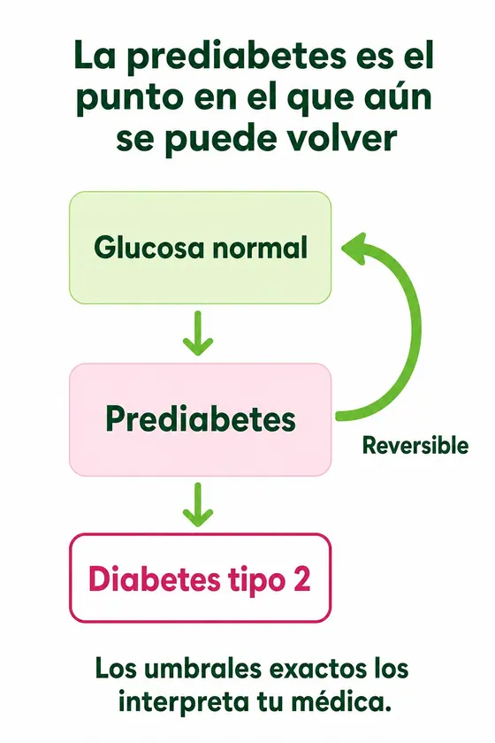 Infografía: la prediabetes es el punto en el que aún se puede volver. De glucosa normal a prediabetes, que es reversible, y de ahí a diabetes tipo 2. Los umbrales exactos los interpreta tu médica.